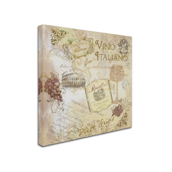 Fiona Stokes-Gilbert 'Italian Wine' Canvas Art,24x24